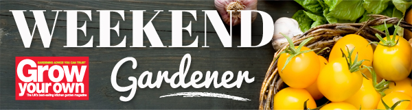 Grow Your Own | Weekend Gardener